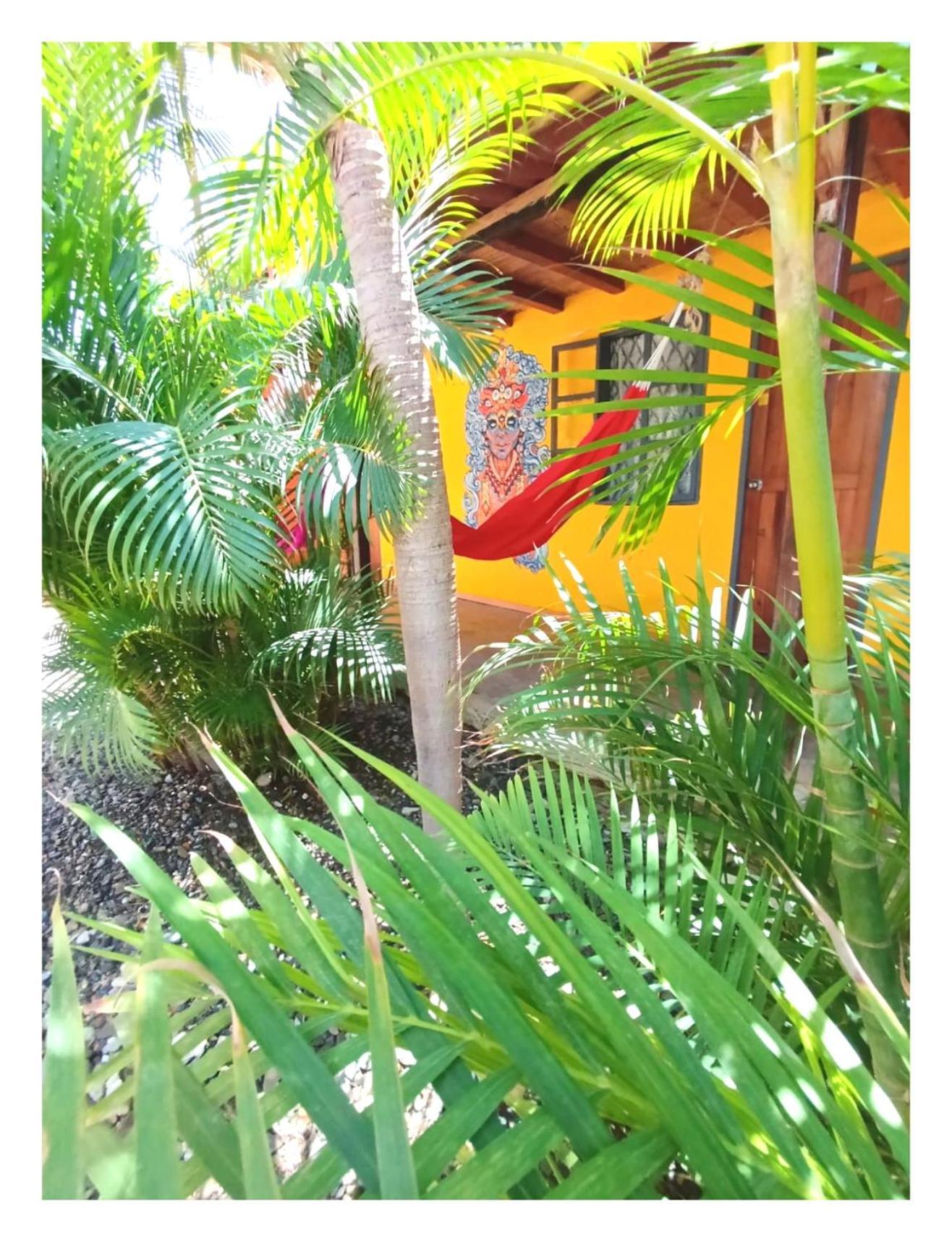 Casa Naranja Hotel Máncora Exterior foto